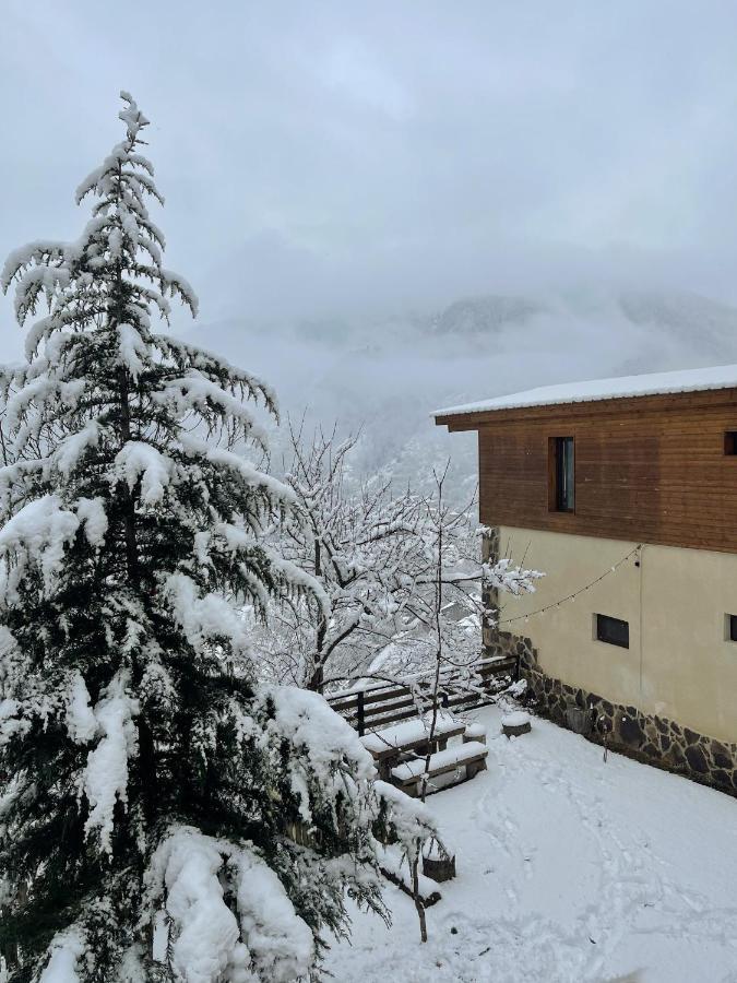 Guest House On Meskheti Borjomi Exteriör bild