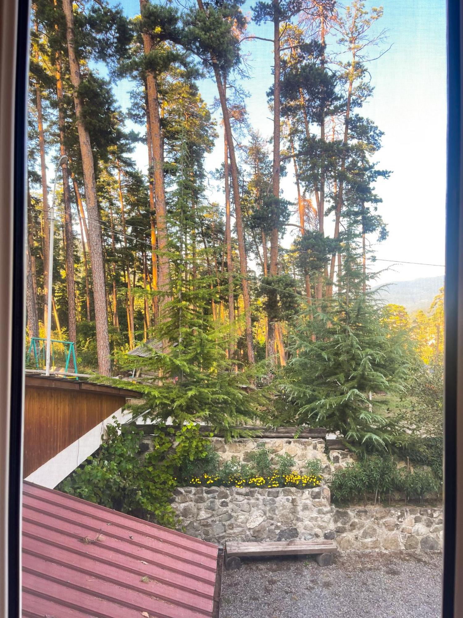 Guest House On Meskheti Borjomi Rum bild