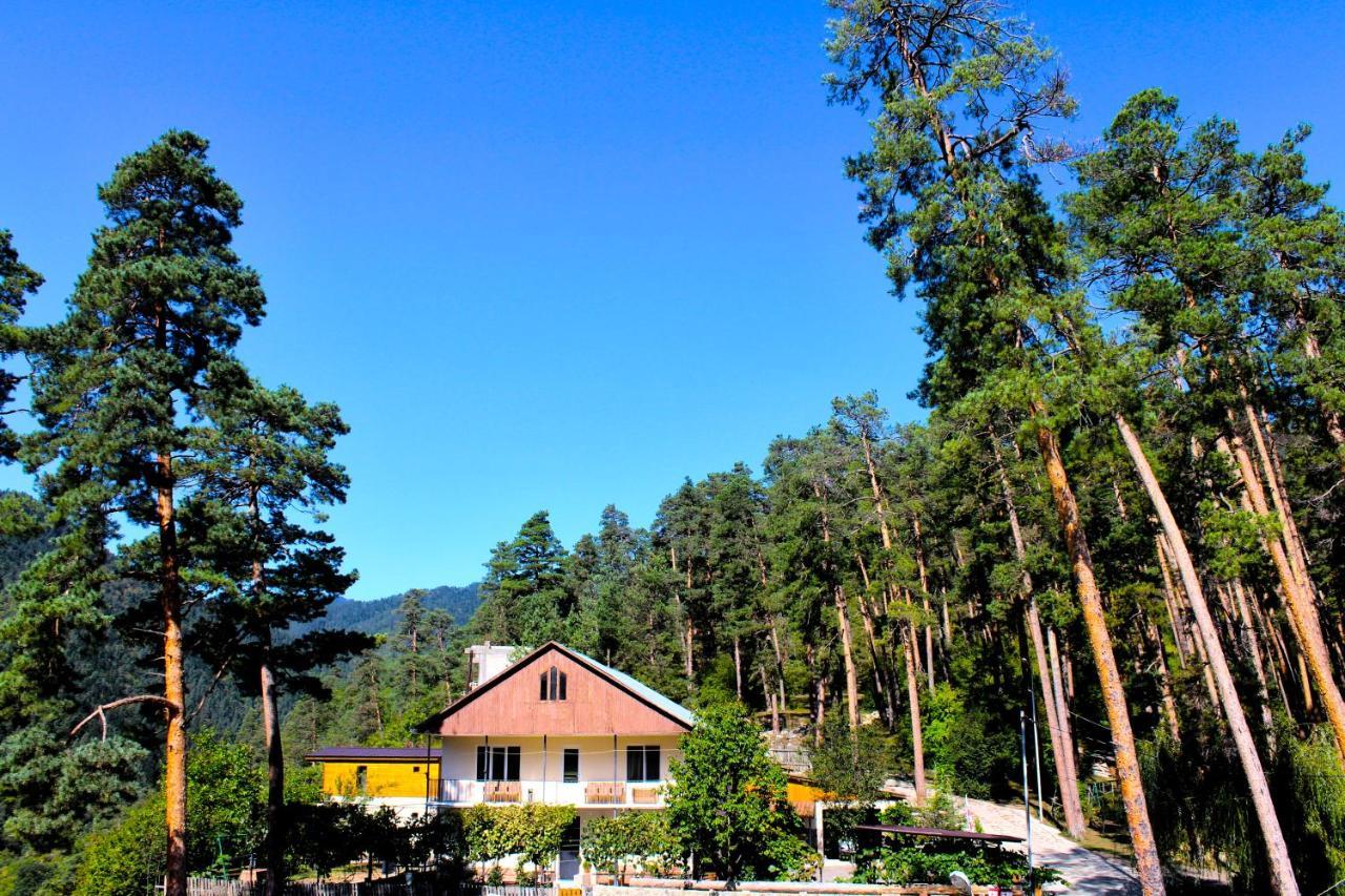 Guest House On Meskheti Borjomi Exteriör bild